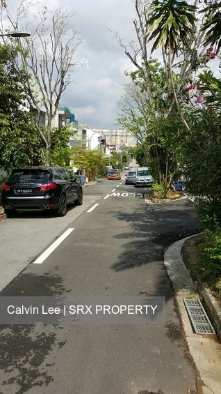 Jalan Lapang (D14), Terrace #239298571